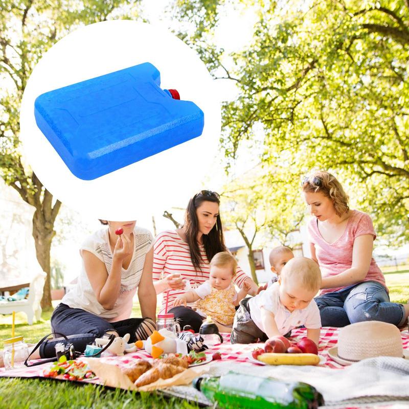 Caixa de Cristais de Gelo para - Outdoor Camping Fridge avaliação e preço